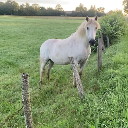 Le Domaine De Bos