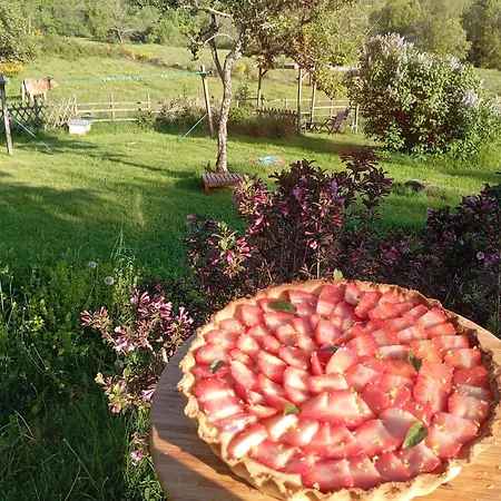 Le Domaine De Bos 3*