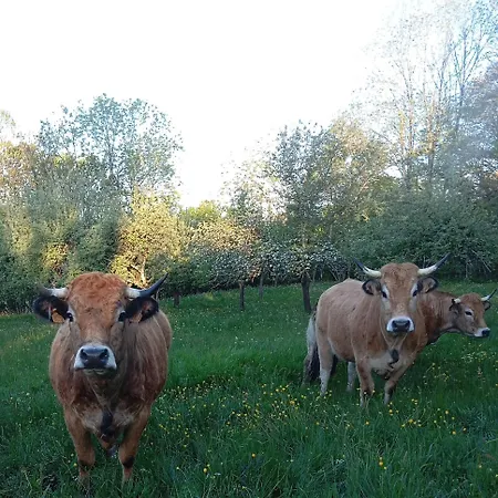 Le Domaine De Bos 3* Bagnols (Puy-de-Dome)